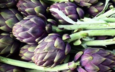 I carciofi di Camilla